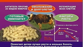 Что такое колострум (молозиво)?