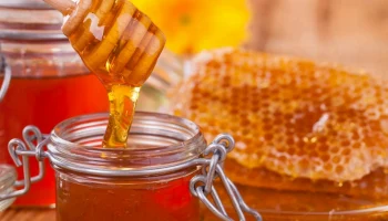 10 способов лечения кашля с помощью меда