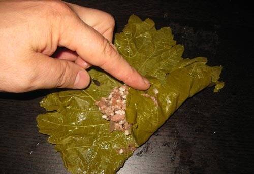 dolma12.jpg