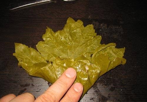 dolma13.jpg