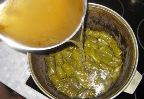dolma16.jpg