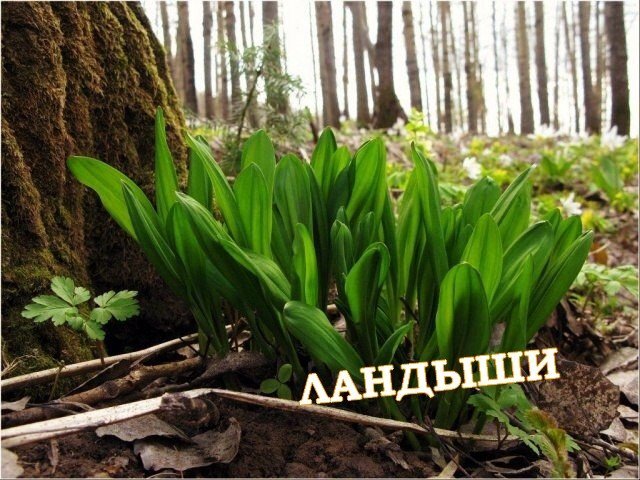 9IfiqbrtnWYC3CTYkax5a32sumZWkudZl-lYz8RE82YkrT_UVqSgYhvzxg096z9ZoUbWLaZAjTwZ58T38QqxTJk6.jpg