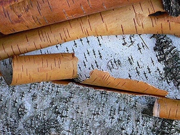 image_750x_60d48fe1131b8.jpg