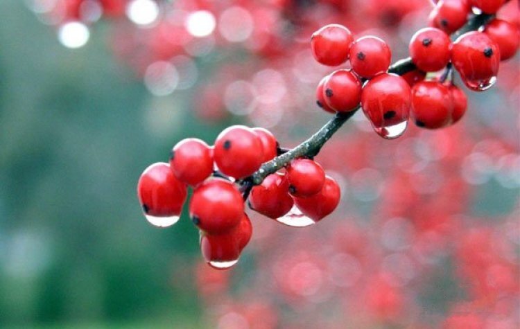 image_750x_60d54f6f1d01f.jpg