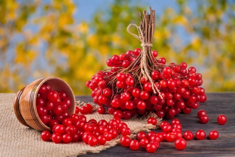 image_750x_60d54f70a4c9c.jpg