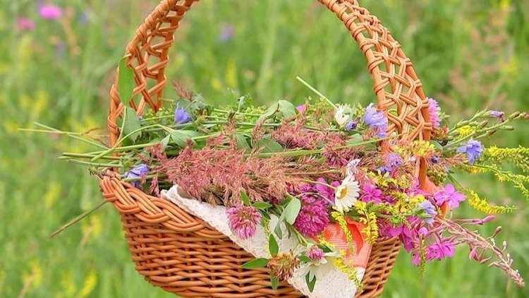 image_750x_60e0571ad0b1b.jpg