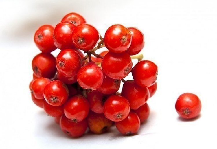 image_750x_60e7b39715d75.jpg