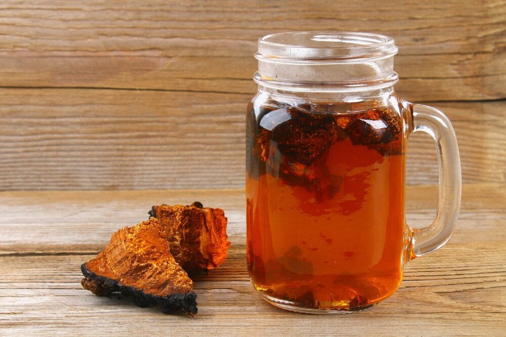 bigstock-Healing-Tea-From-Birch-Mushroo-246108880.jpg