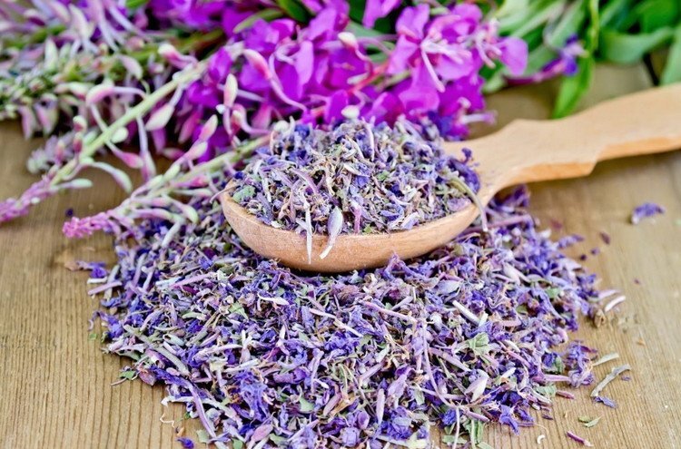 ivan-chay4.jpg