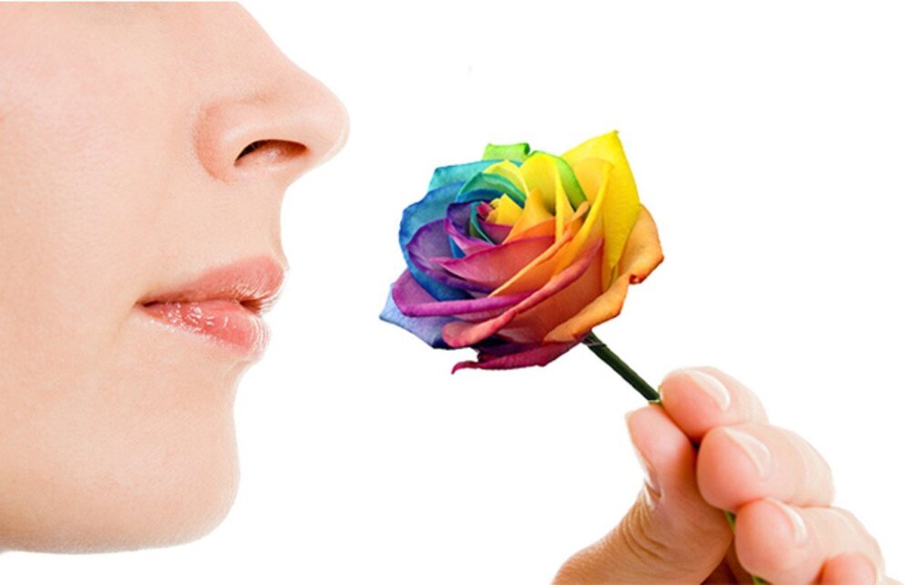 nose_color.jpg