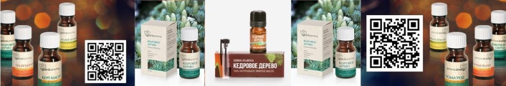 кедр.jpg