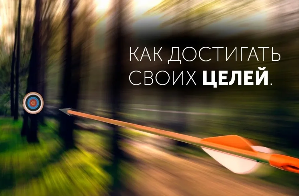 ofis_2.webp